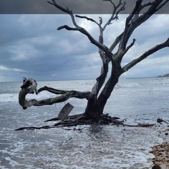 Meet your Posher, Debbie - Picture 1 of 1